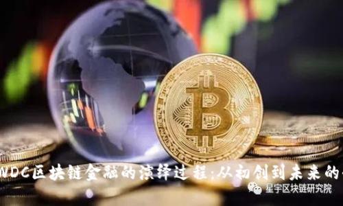biasntiWDC区块链金融的演绎过程：从初创到未来的全面分析