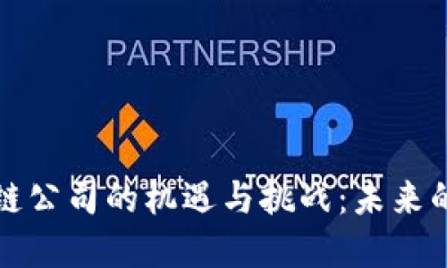 深圳金融区块链公司的机遇与挑战：未来的金融科技趋势