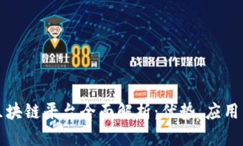 大通金融区块链平台全面解析：优势、应用与未来发展