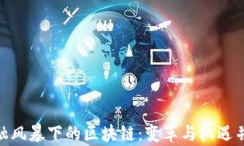 
金融风暴下的区块链：变革与机遇并存