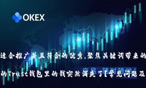 思考一个适合推广并且符合的优秀，聚焦关键词带来的具体成果

为什么我的Trust钱包里的钱突然消失了？常见问题及解决办法