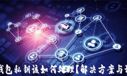 
丢失TP钱包私钥该如何处理？解决方案与预防措施